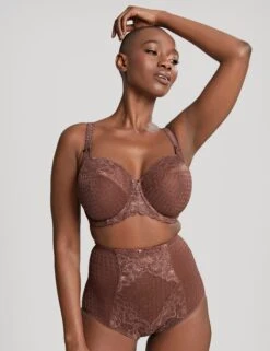 Panache Envy Mesh & Lace Full Briefs