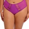 ELOMI Matilda Mesh & Lace Full Briefs -Marks And Spencer Shop Matilda Mesh Lace Full Briefs
