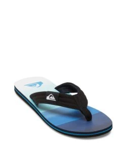 Quiksilver Molokai Layback II Flip Flops