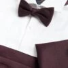 Bow Tie, Pocket Square & Cummerbund Set