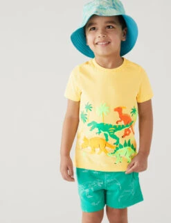 Pure Cotton Dinosaur Print T-Shirt (2-8 Yrs)