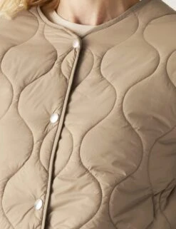 Regatta Harletta Collarless Padded Puffer Jacket -Marks And Spencer Shop harletta collarless padded puffer jacket 10